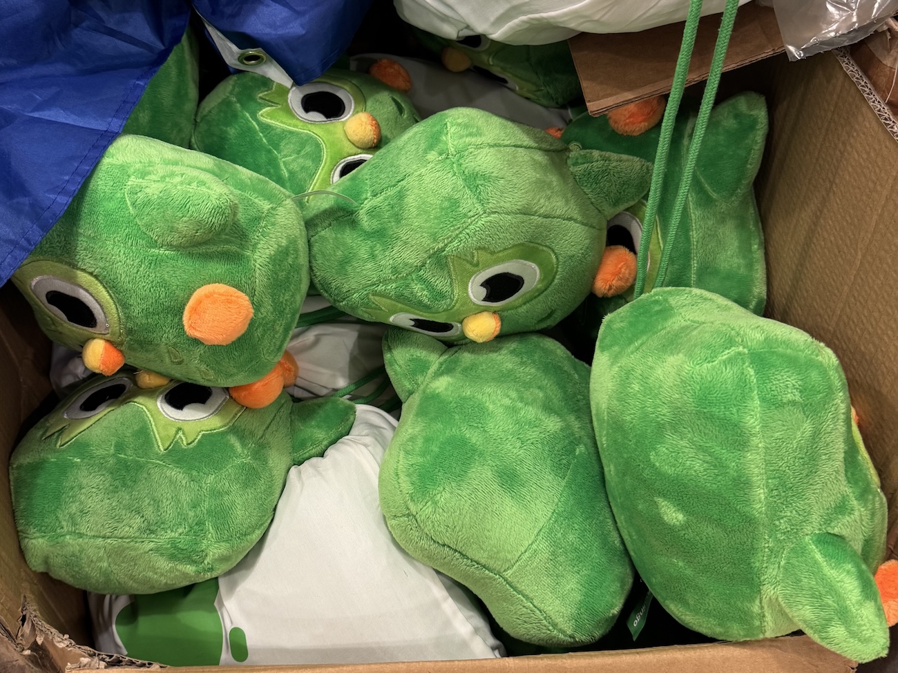 several small duo plushies mixed in with some other duolingo merch in a moving box.